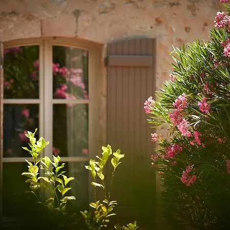 Villa Bastide Saint Louis Du Thoronet *